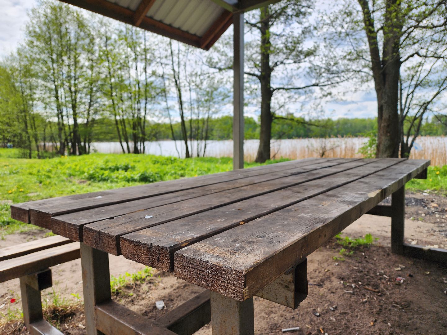 воскресенск, шашлык у озера, пожарная безопасность, лесничество,