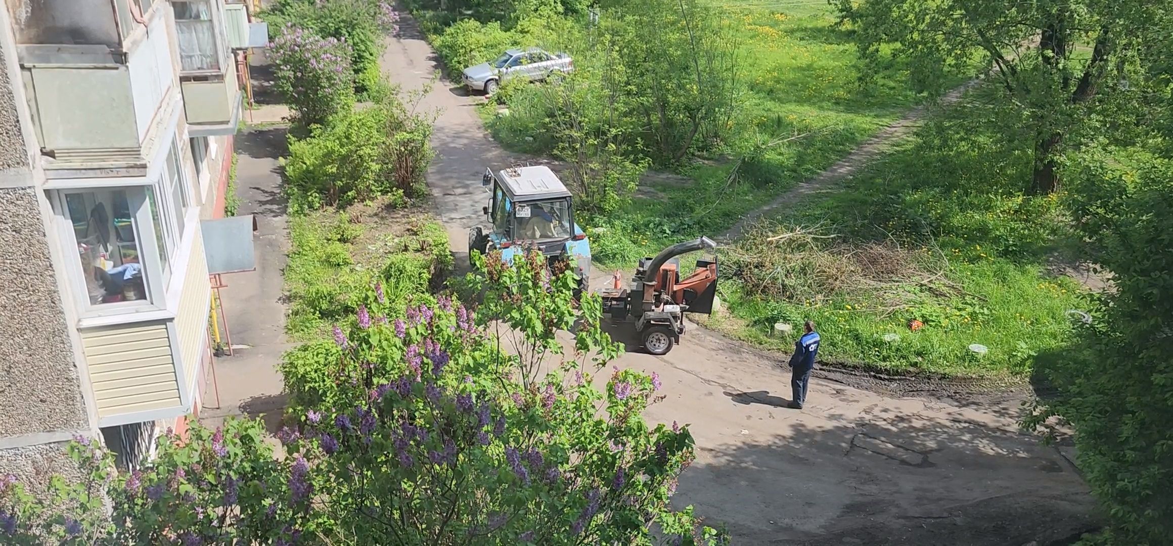Коломна, благоуйстройство, обрезка деревьев,