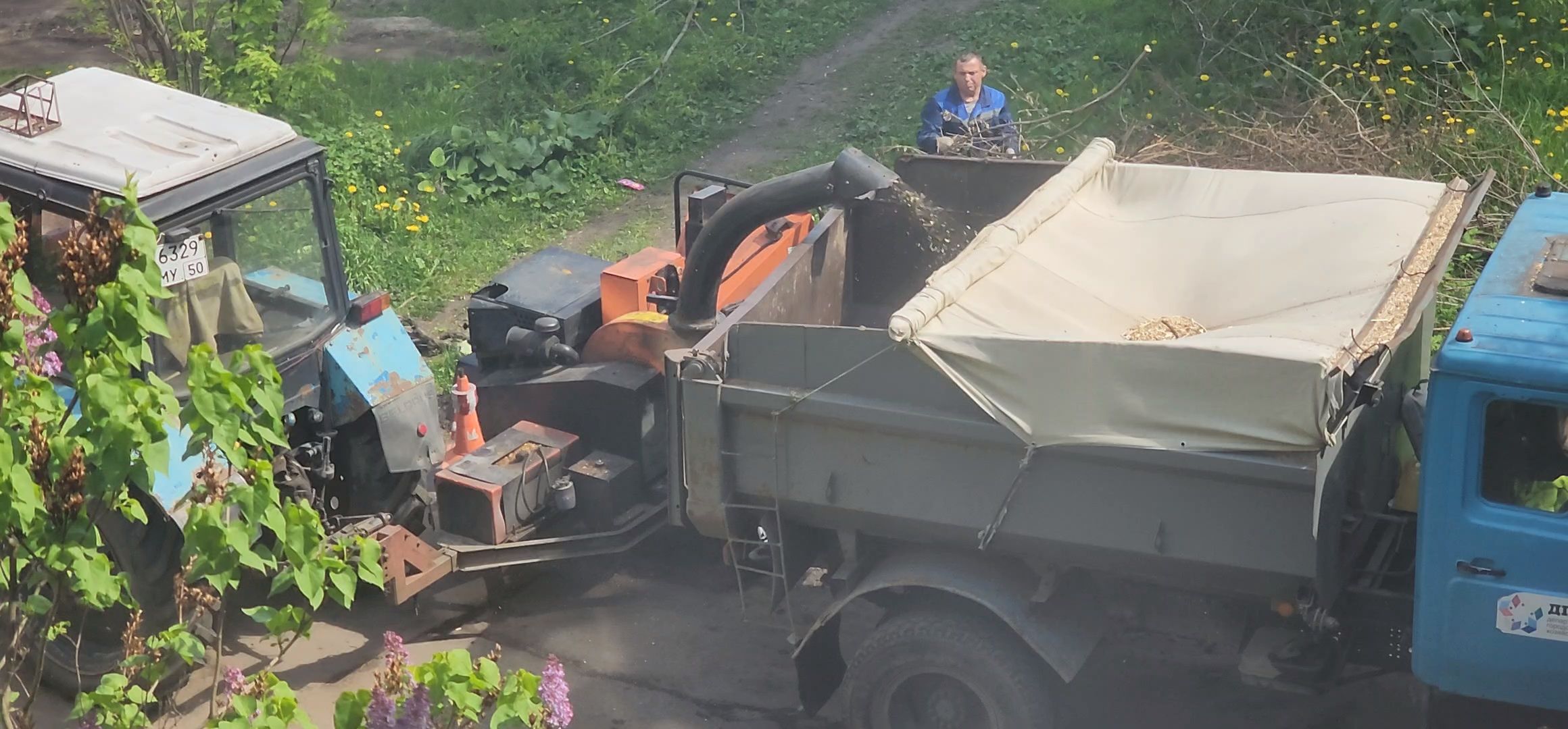 Коломна, благоуйстройство, обрезка деревьев,