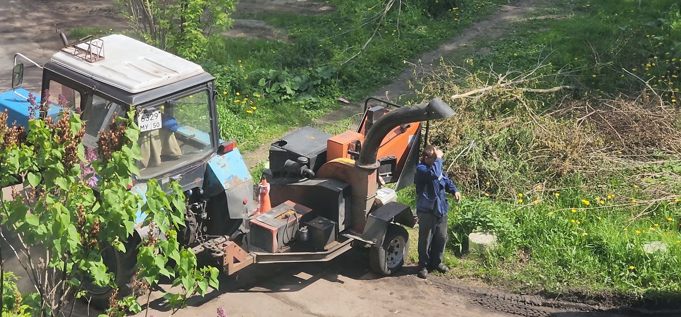 Коломна, благоуйстройство, обрезка деревьев,