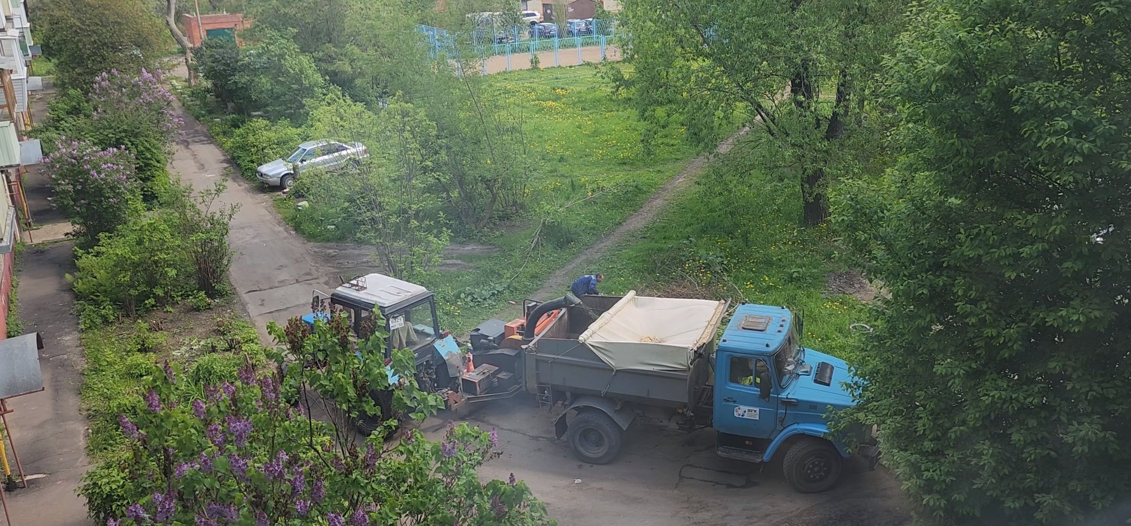 Коломна, благоуйстройство, обрезка деревьев,