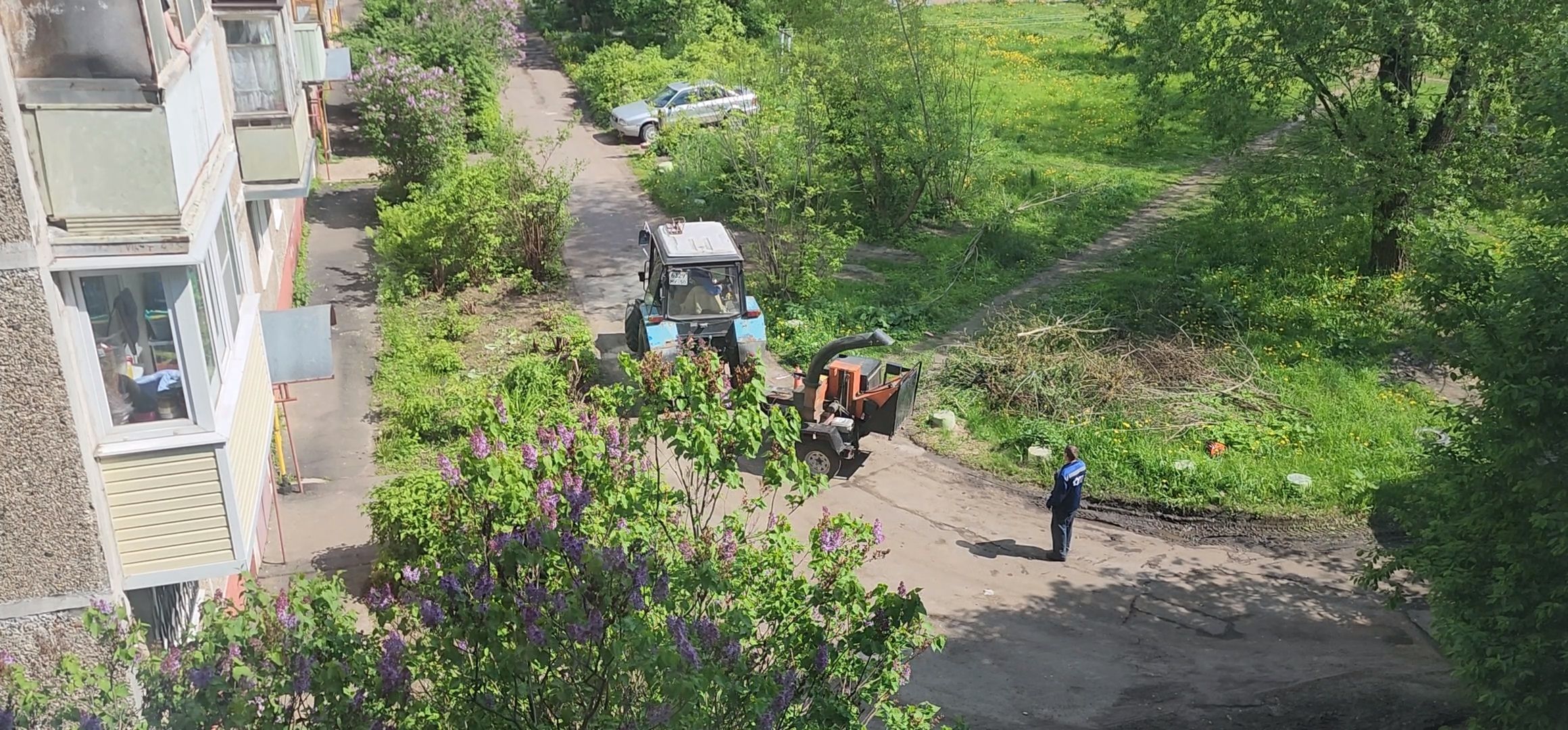 Коломна, благоуйстройство, обрезка деревьев,