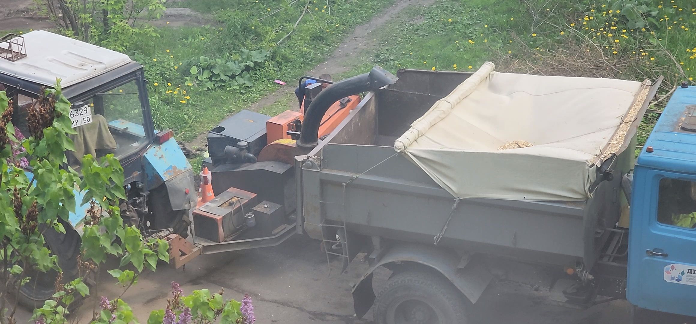 Коломна, благоуйстройство, обрезка деревьев,