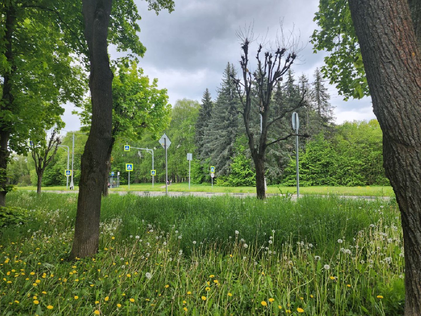 пущино, благоустройство, серпухов, власть,