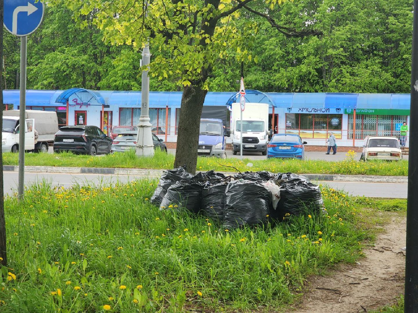 пущино, благоустройство, серпухов, власть,