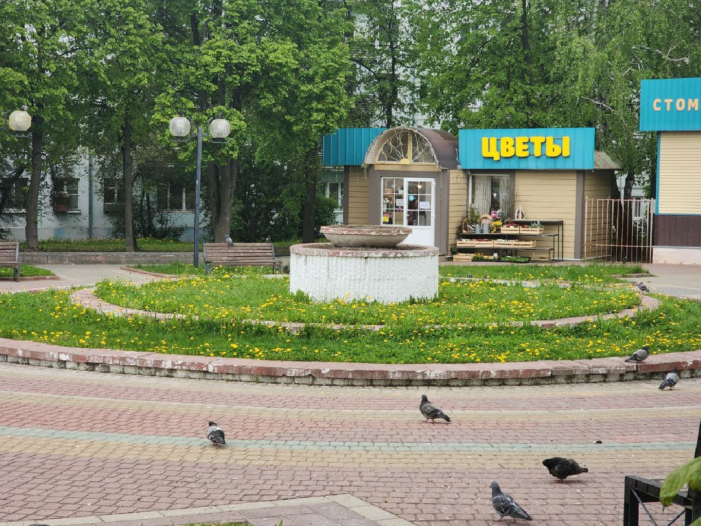 пущино, благоустройство, серпухов, власть,