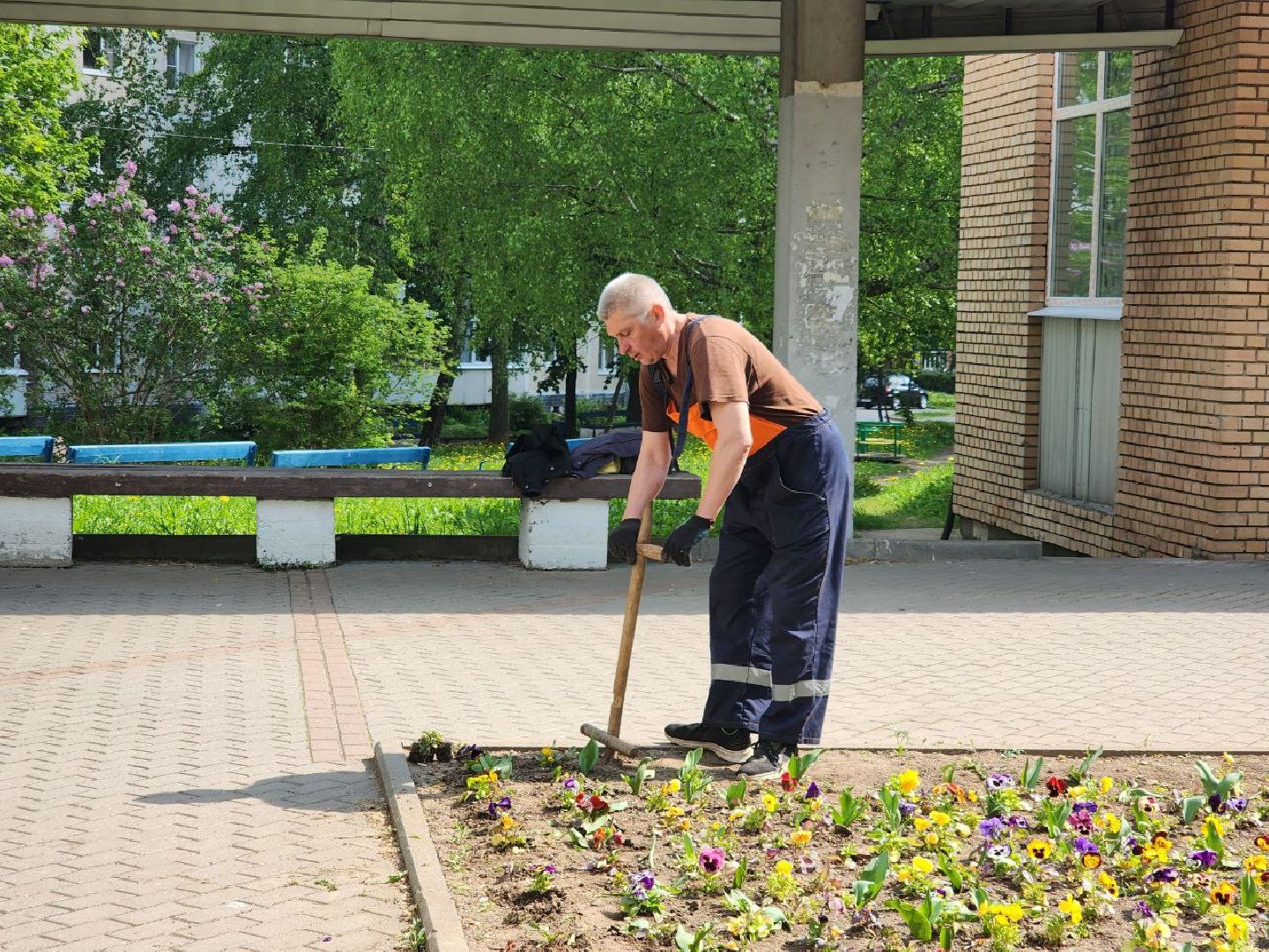 пущино, серпухов, цветы, благоуйстройство,