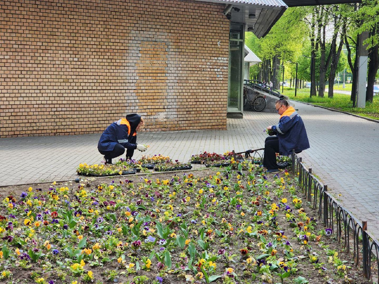 пущино, серпухов, цветы, благоуйстройство,
