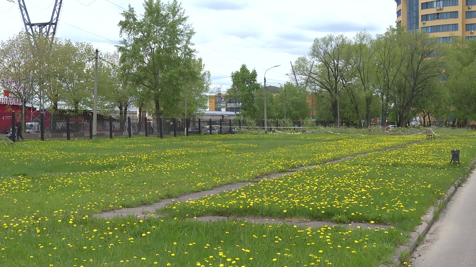 Реутов, старт, приалит, строительство, масштабная реконструкция, опиловка, деревья, академия Акинфеева,