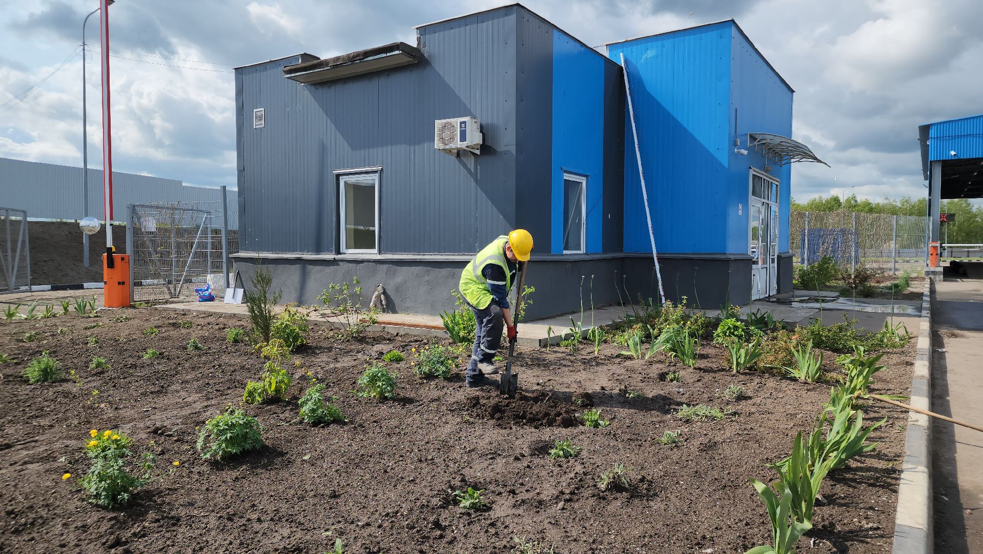 кпо, восток, техногрунт, удобрение, мусор, отходы, тюльпаны, цветы,