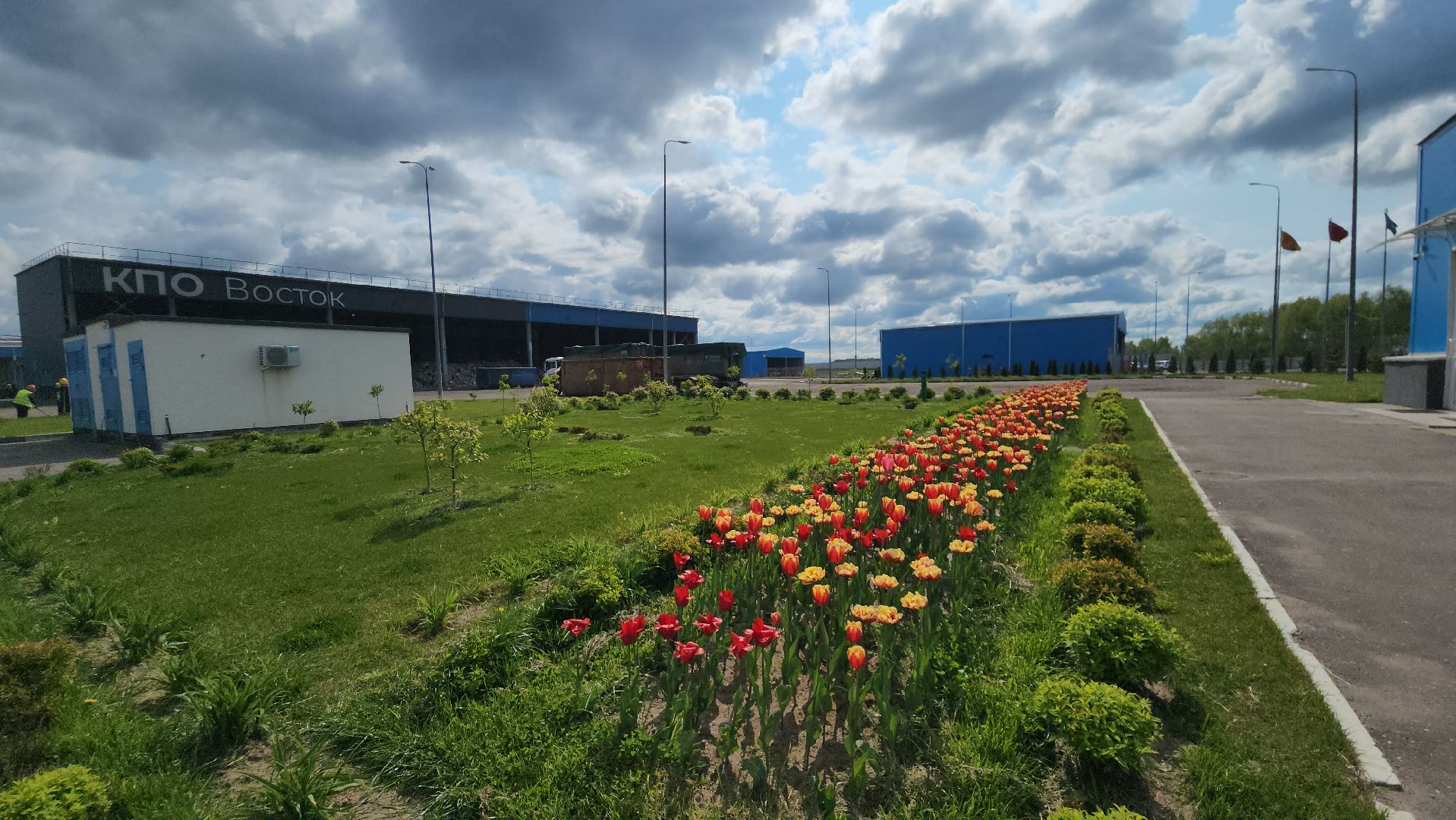 кпо, восток, техногрунт, удобрение, мусор, отходы, тюльпаны, цветы,