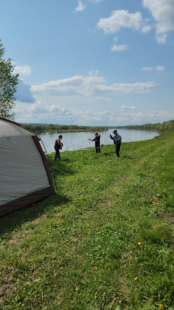 серпухов, подмосковье, археологи, зиброво, Древняя Русь, археология,