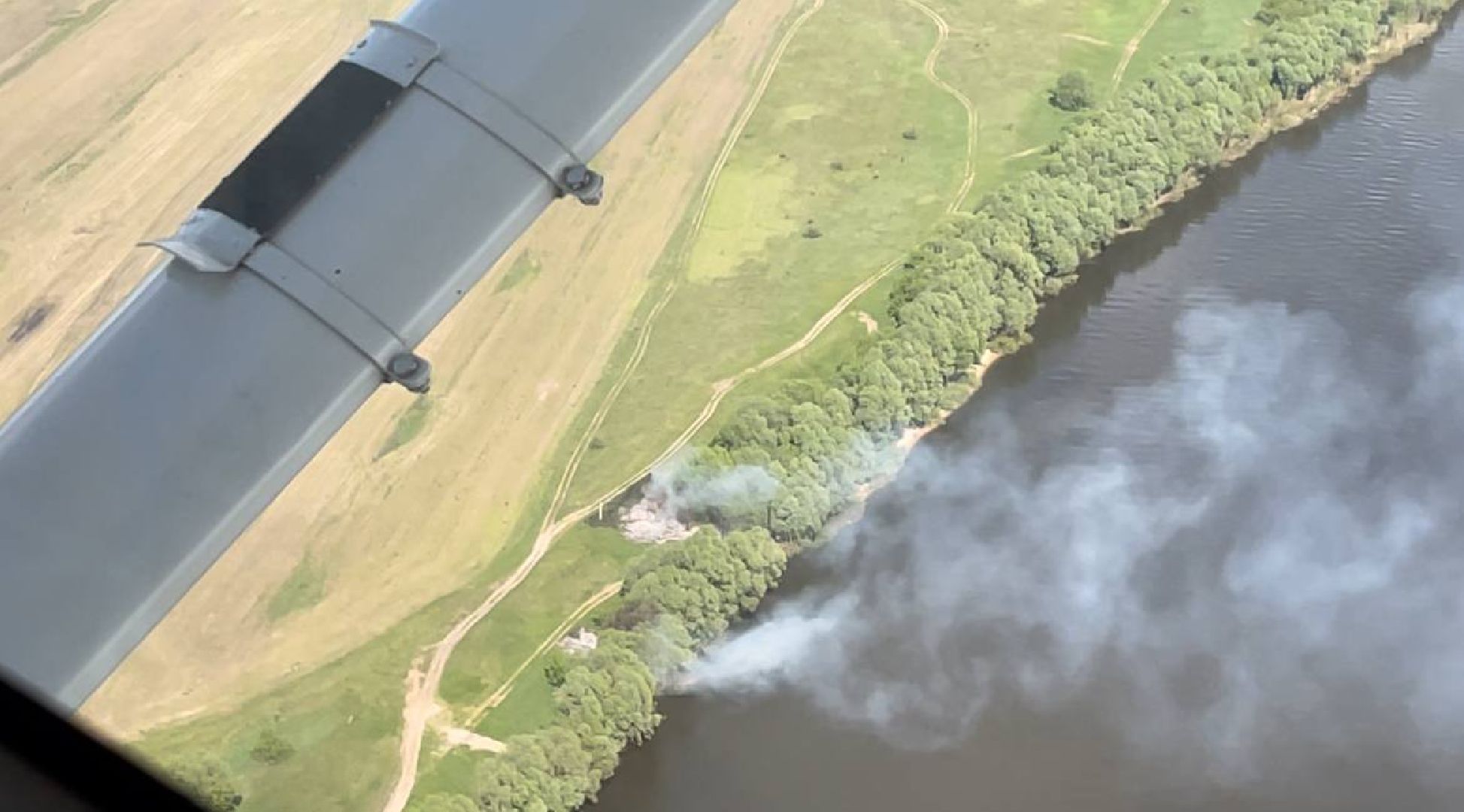 лес, надзор, лесоохрана,