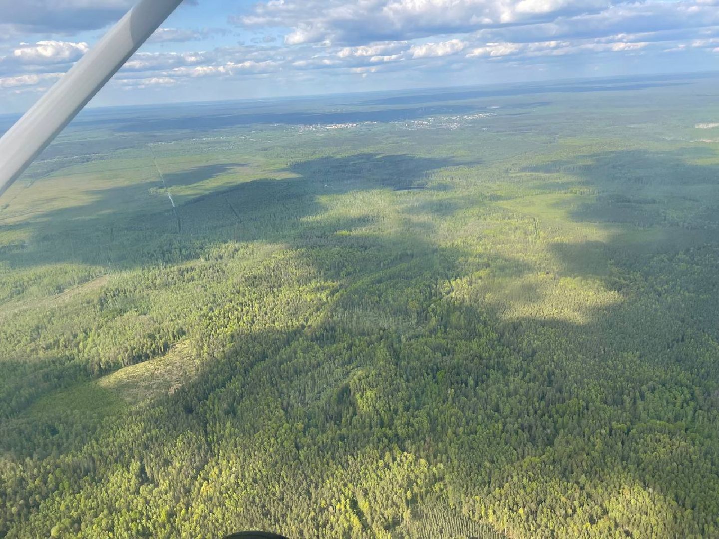 лес, надзор, лесоохрана,