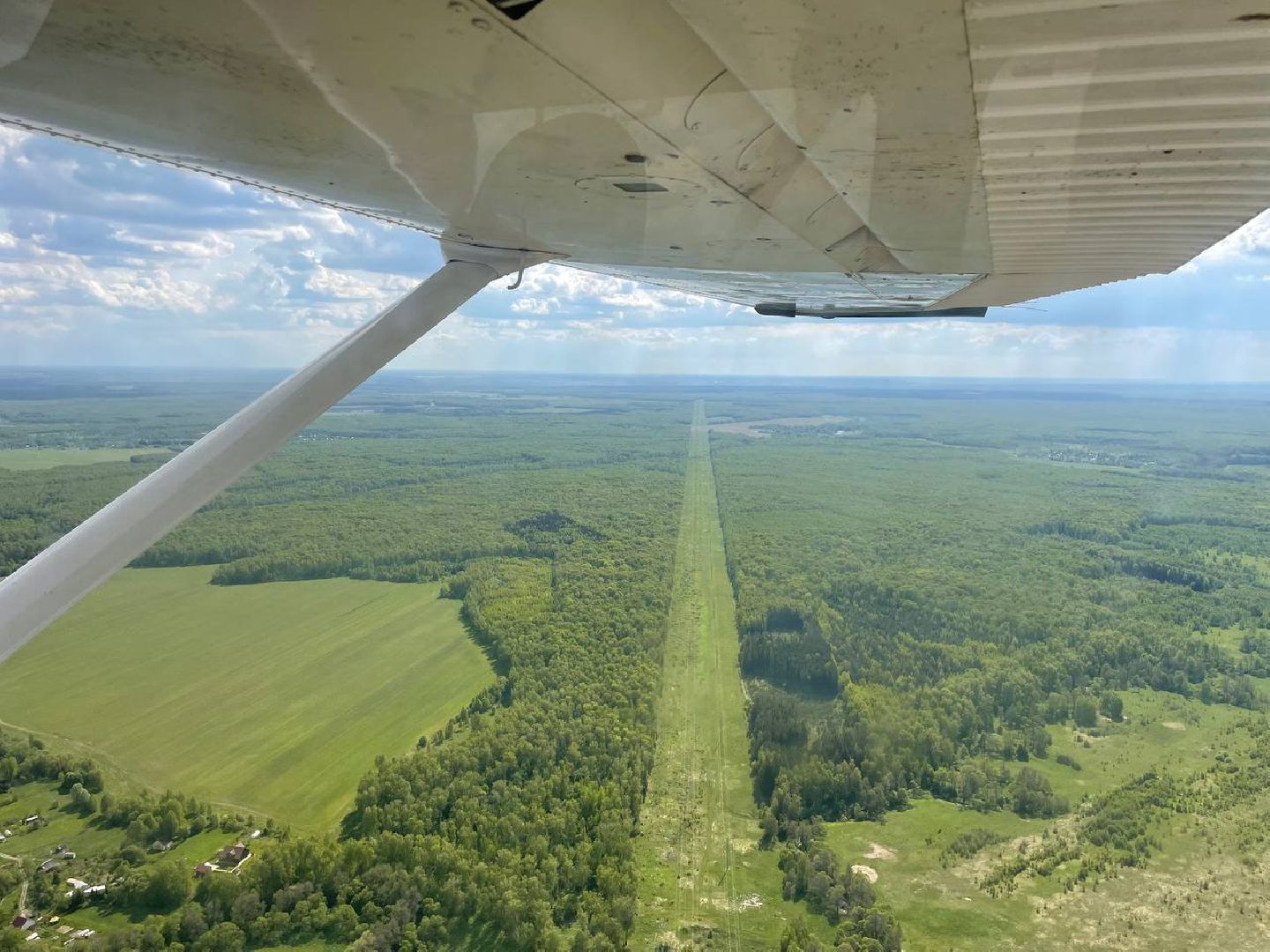 лес, надзор, лесоохрана,