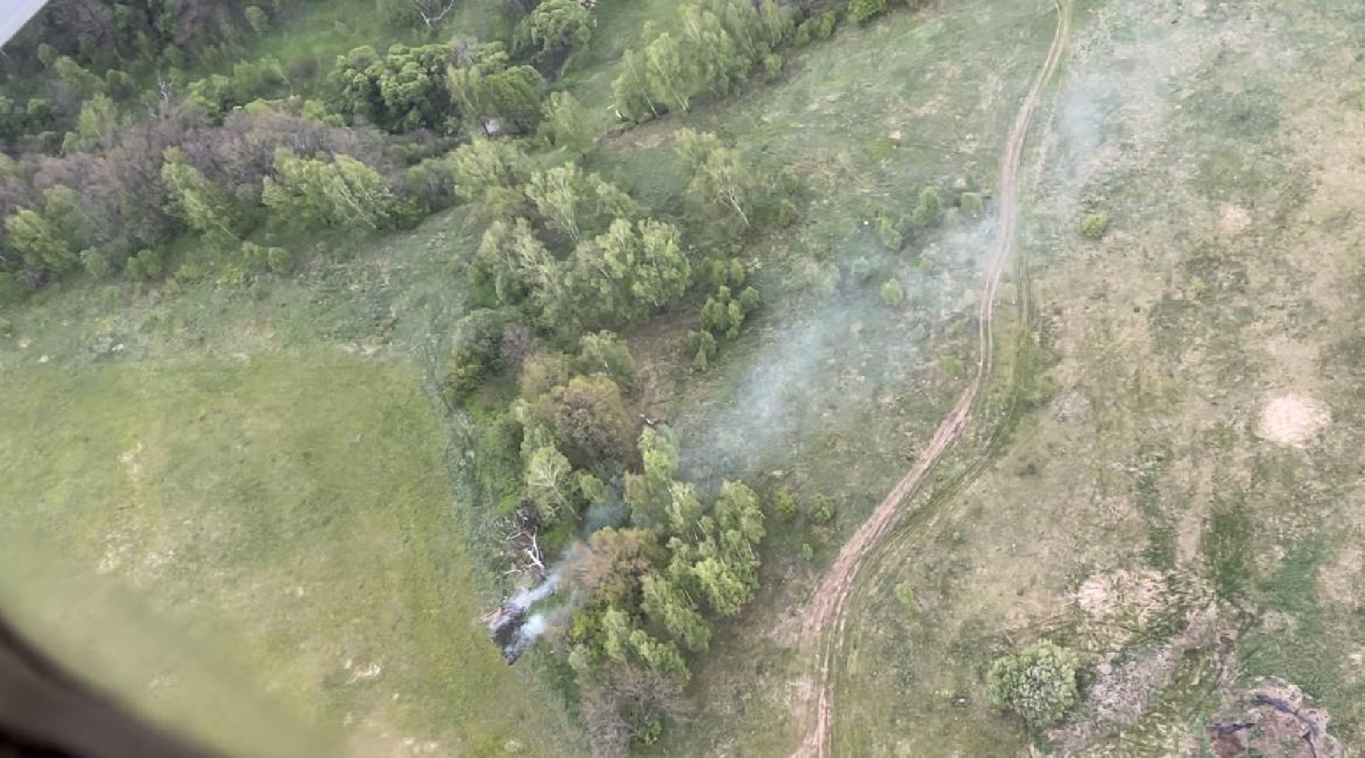 лес, надзор, лесоохрана,