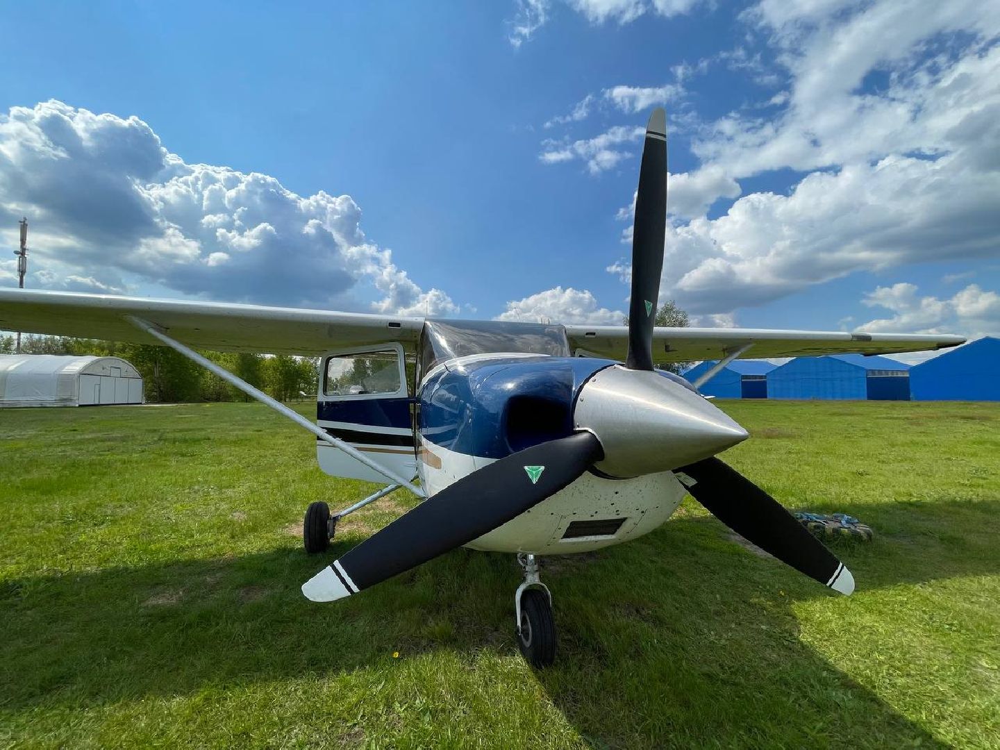 лес, надзор, лесоохрана,