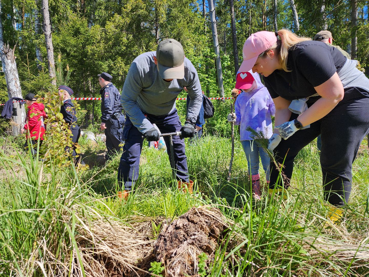 серпухов, подмосковье, лес будущего, лесничие серпухова,