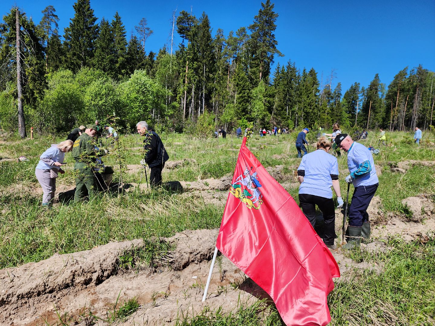 серпухов, подмосковье, лес будущего, лесничие серпухова,