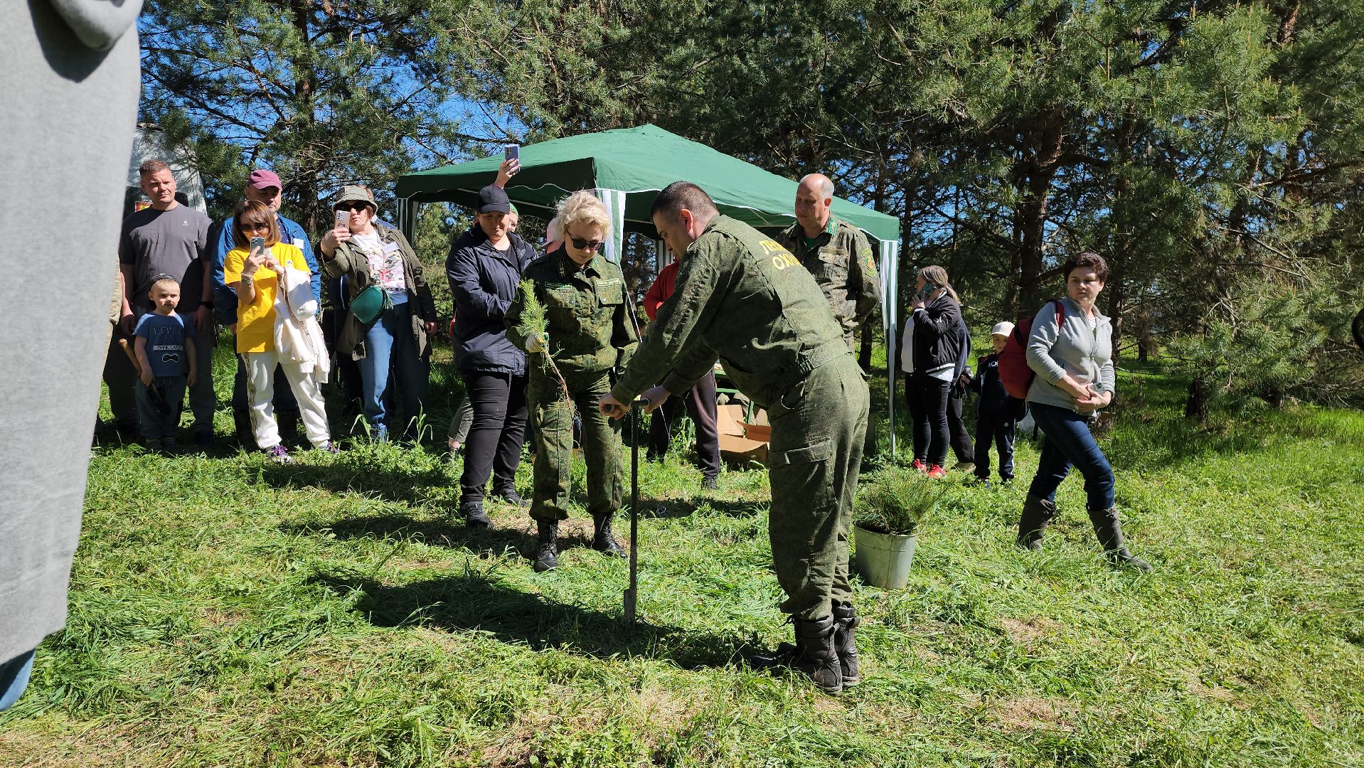 серпухов, подмосковье, лес будущего, лесничие серпухова,