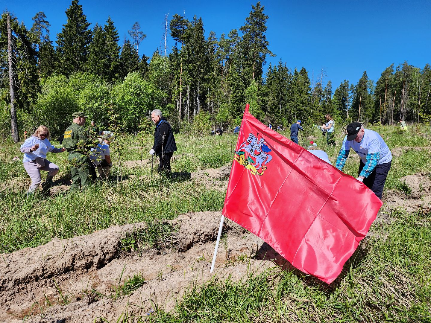 серпухов, подмосковье, лес будущего, лесничие серпухова,
