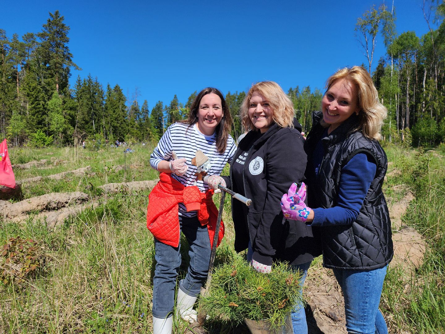 серпухов, подмосковье, лес будущего, лесничие серпухова,