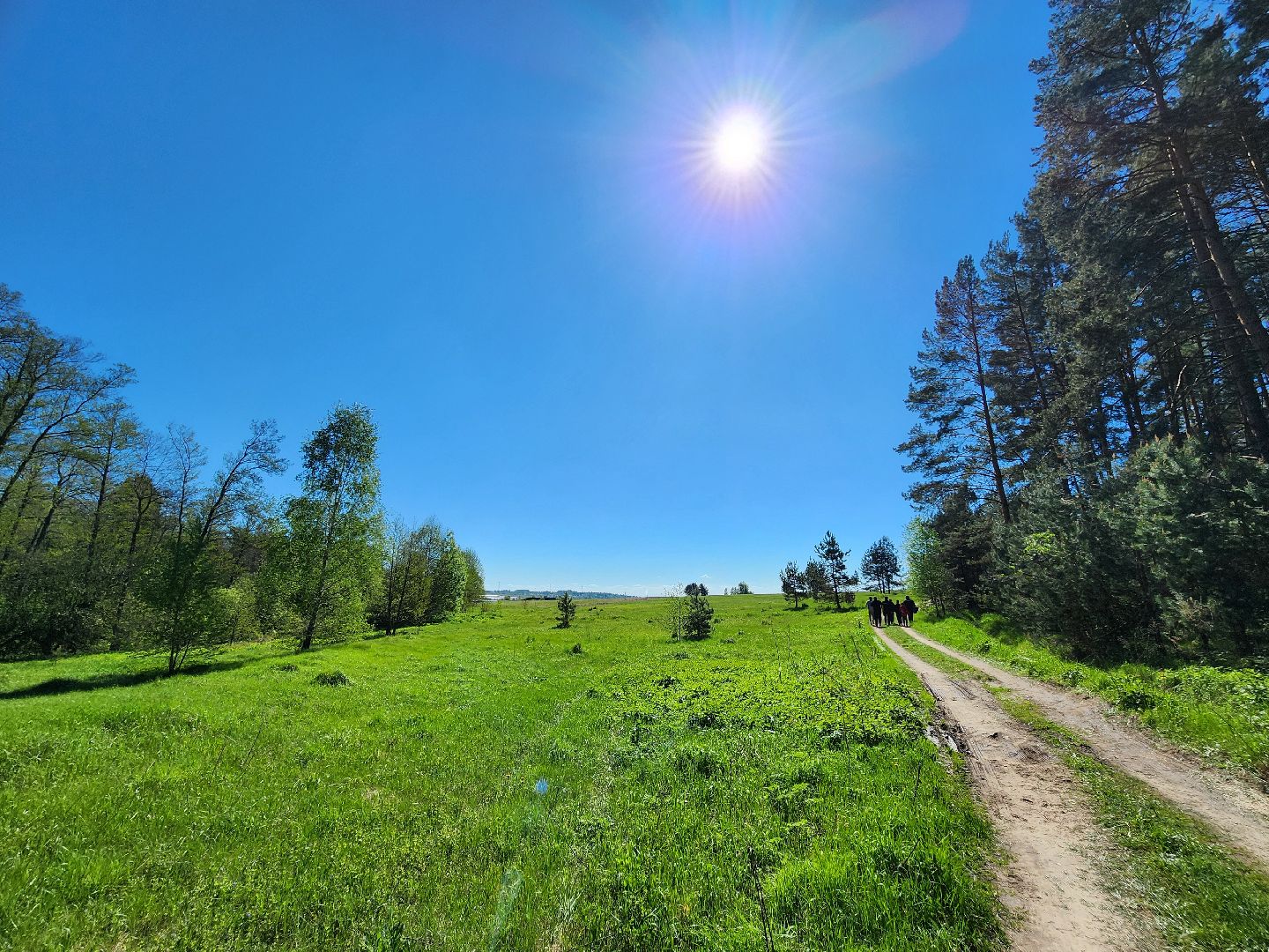 серпухов, подмосковье, лес будущего, лесничие серпухова,