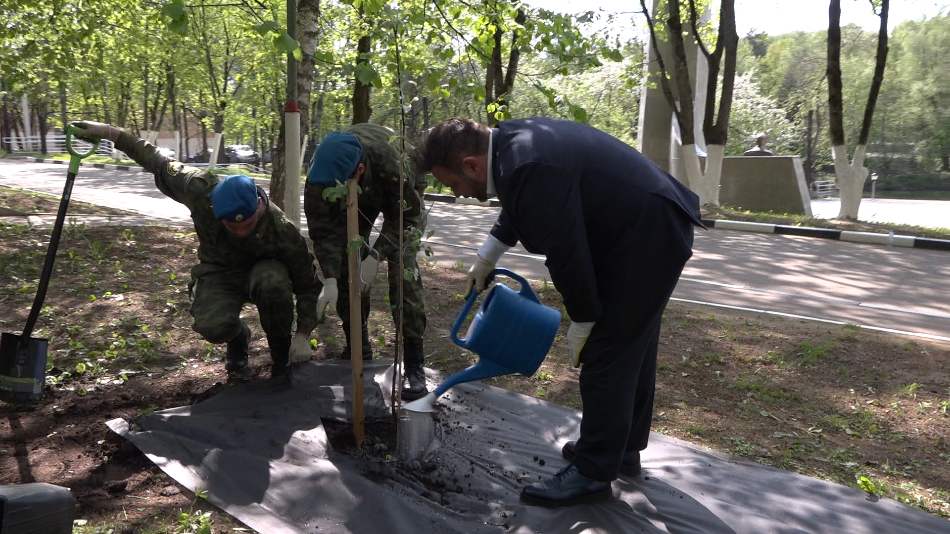 экологическая акция, Лес будущего, посади свое дерево, Власиха лес будущего, плодовый сад, Власиха Сад победы,