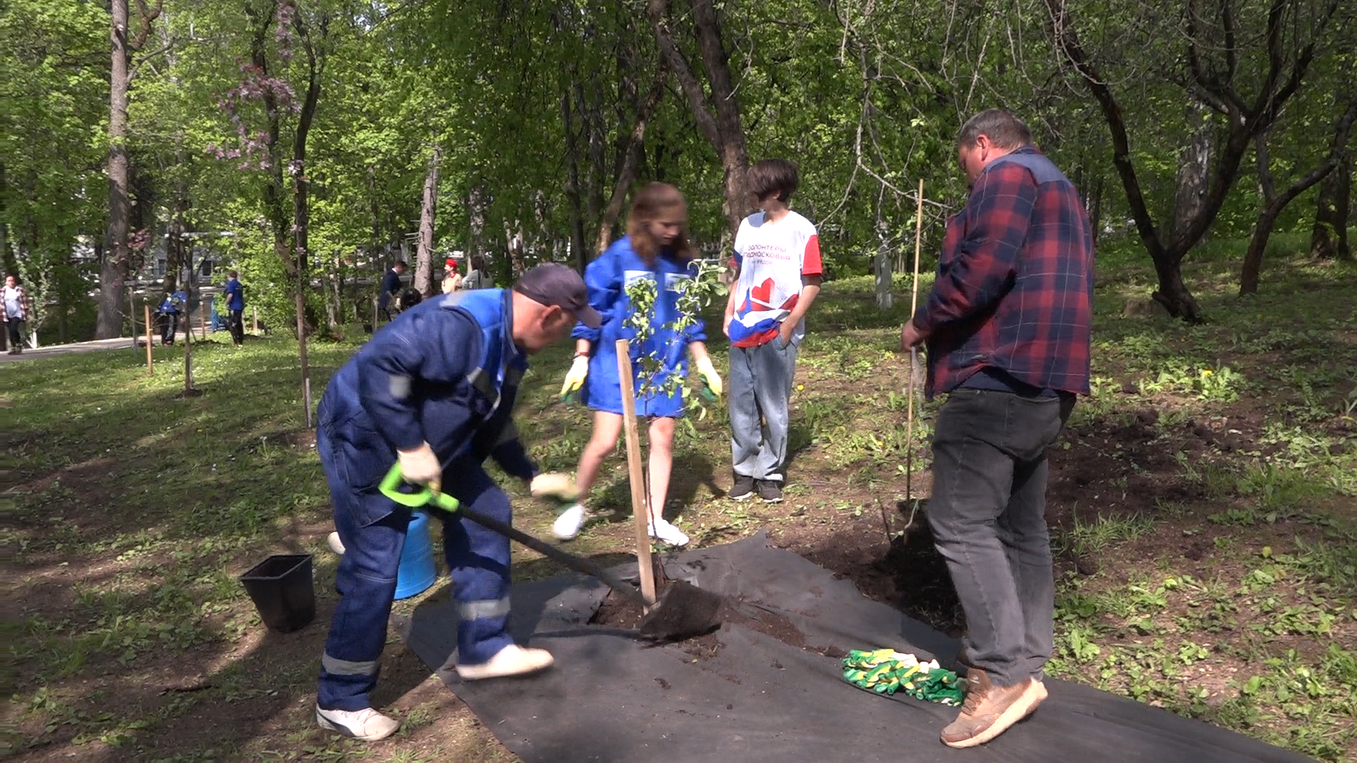 экологическая акция, Лес будущего, посади свое дерево, Власиха лес будущего, плодовый сад, Власиха Сад победы,
