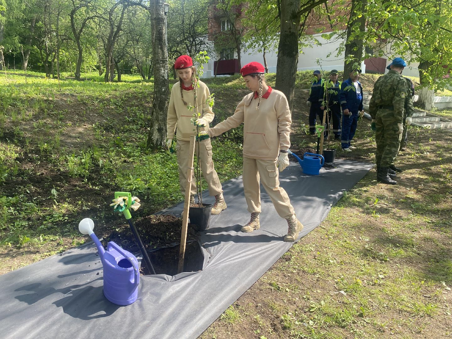 экологическая акция, Лес будущего, посади свое дерево, Власиха лес будущего, плодовый сад, Власиха Сад победы,