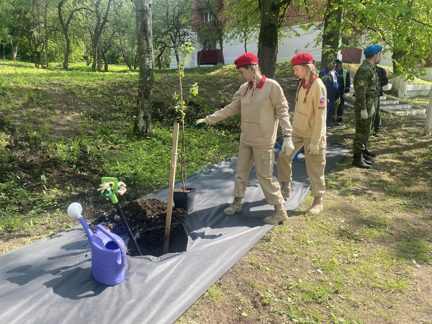 экологическая акция, Лес будущего, посади свое дерево, Власиха лес будущего, плодовый сад, Власиха Сад победы,
