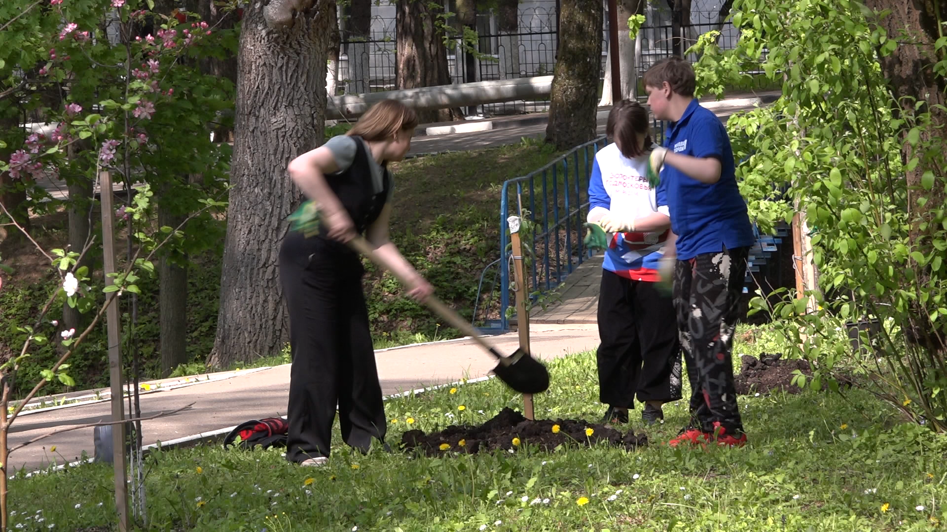 экологическая акция, Лес будущего, посади свое дерево, Власиха лес будущего, плодовый сад, Власиха Сад победы,