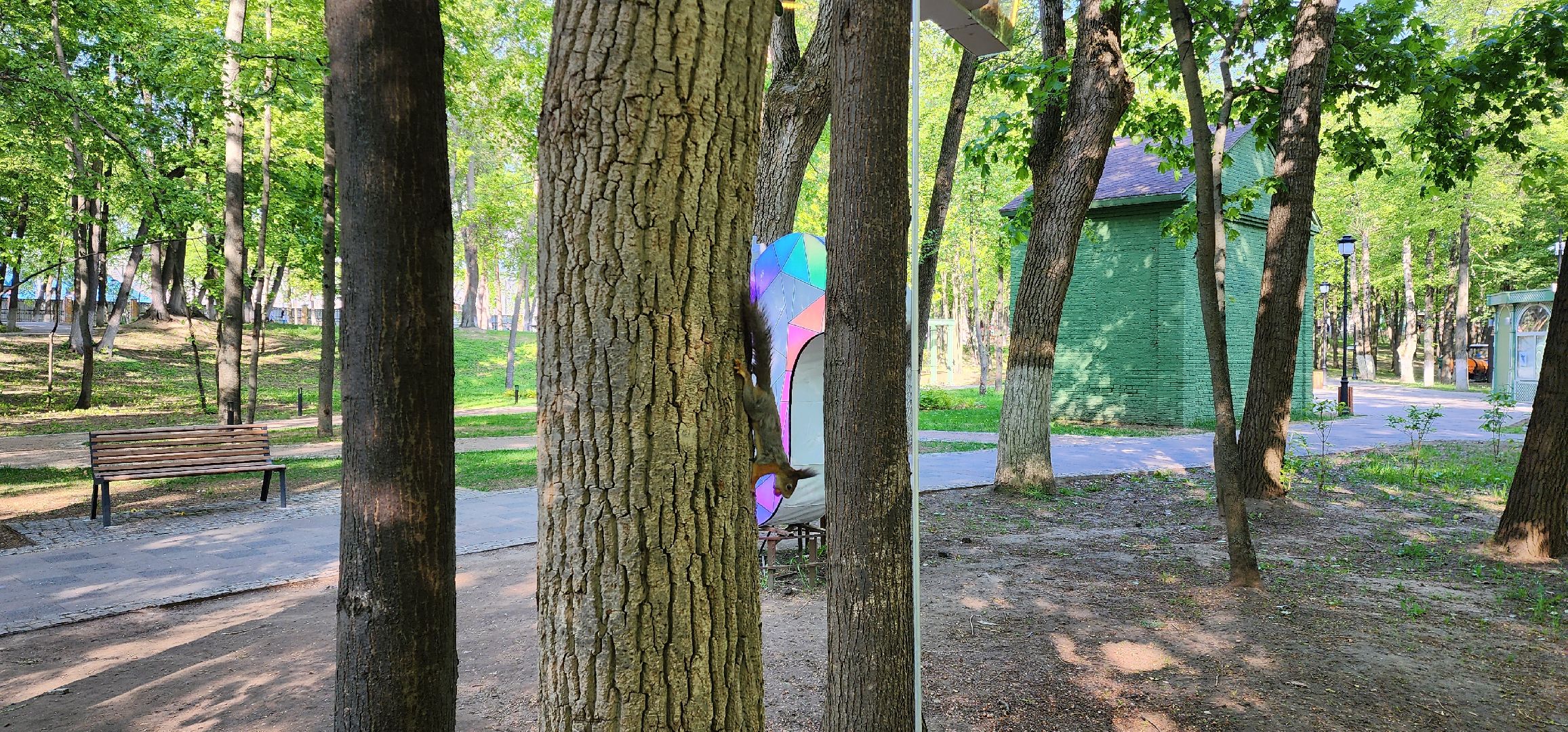 раменское, благоустройство, белочка-парк,