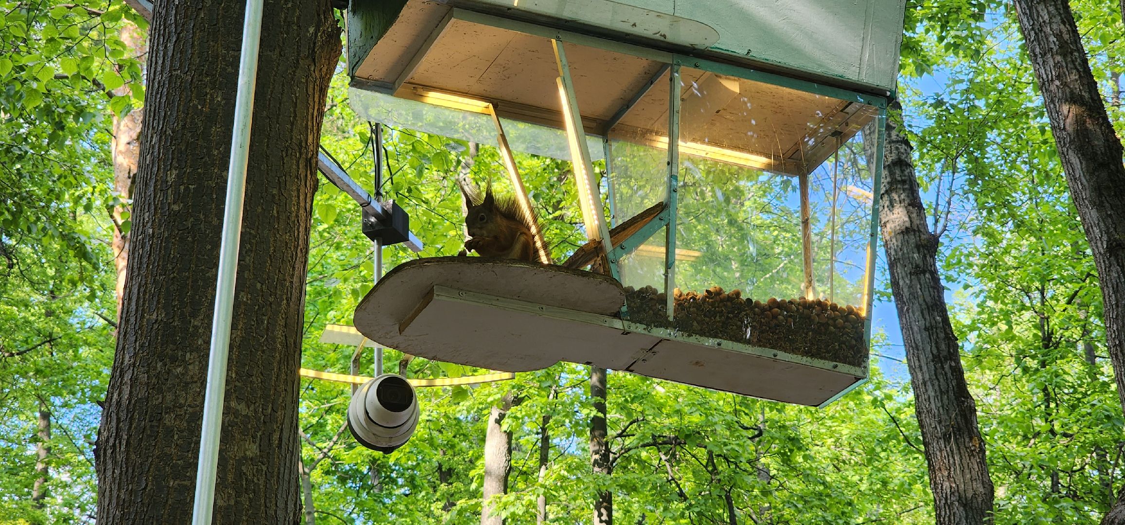 раменское, благоустройство, белочка-парк,