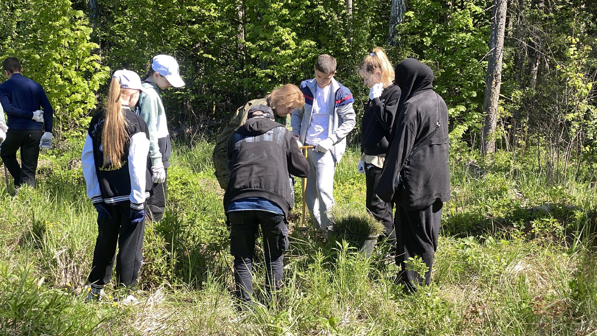 эколого-патриотической акции Лес будущего», акция Сад Памяти, посадка деревьев, лесфонд, мособллес,