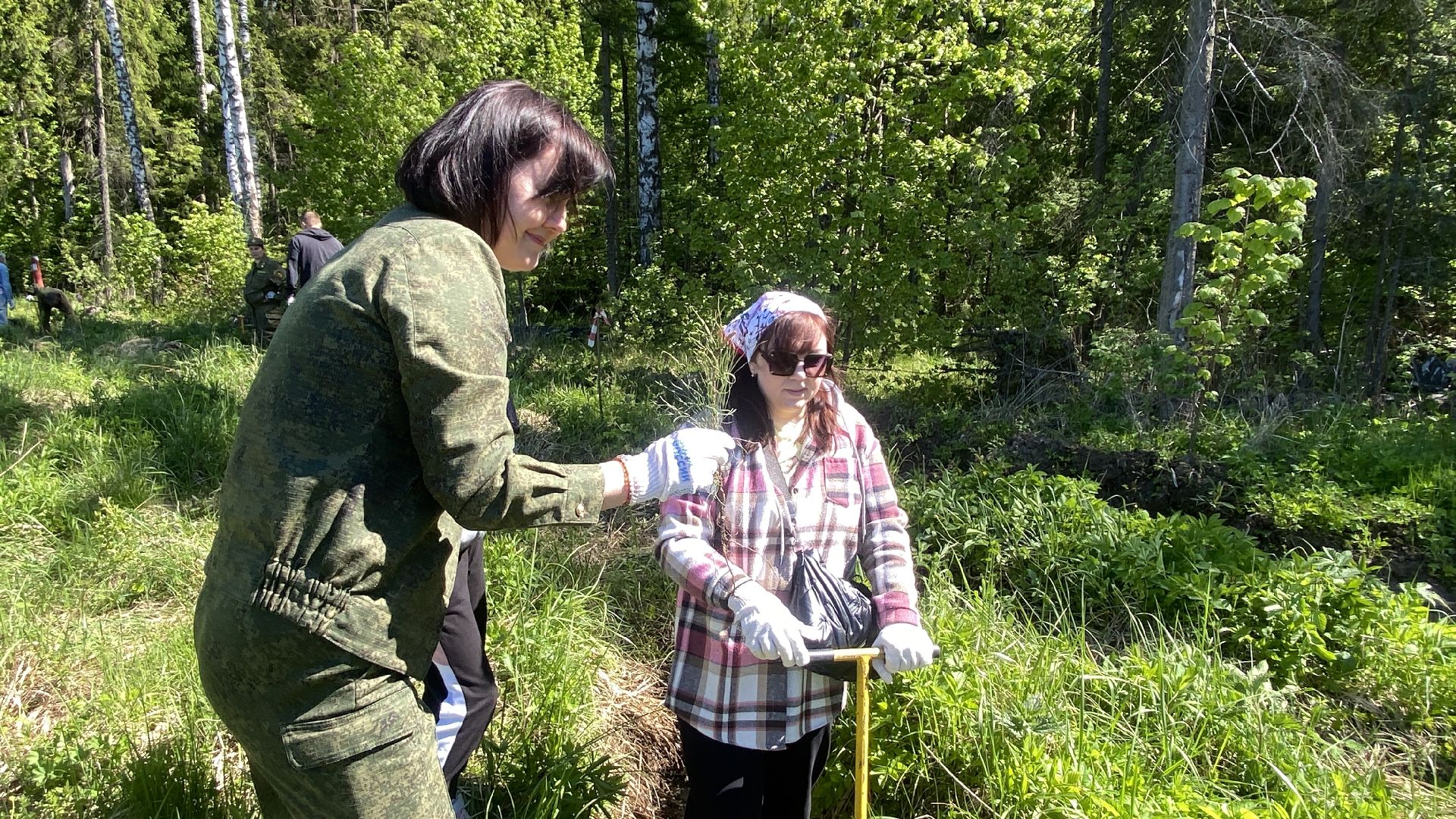 эколого-патриотической акции Лес будущего», акция Сад Памяти, посадка деревьев, лесфонд, мособллес,