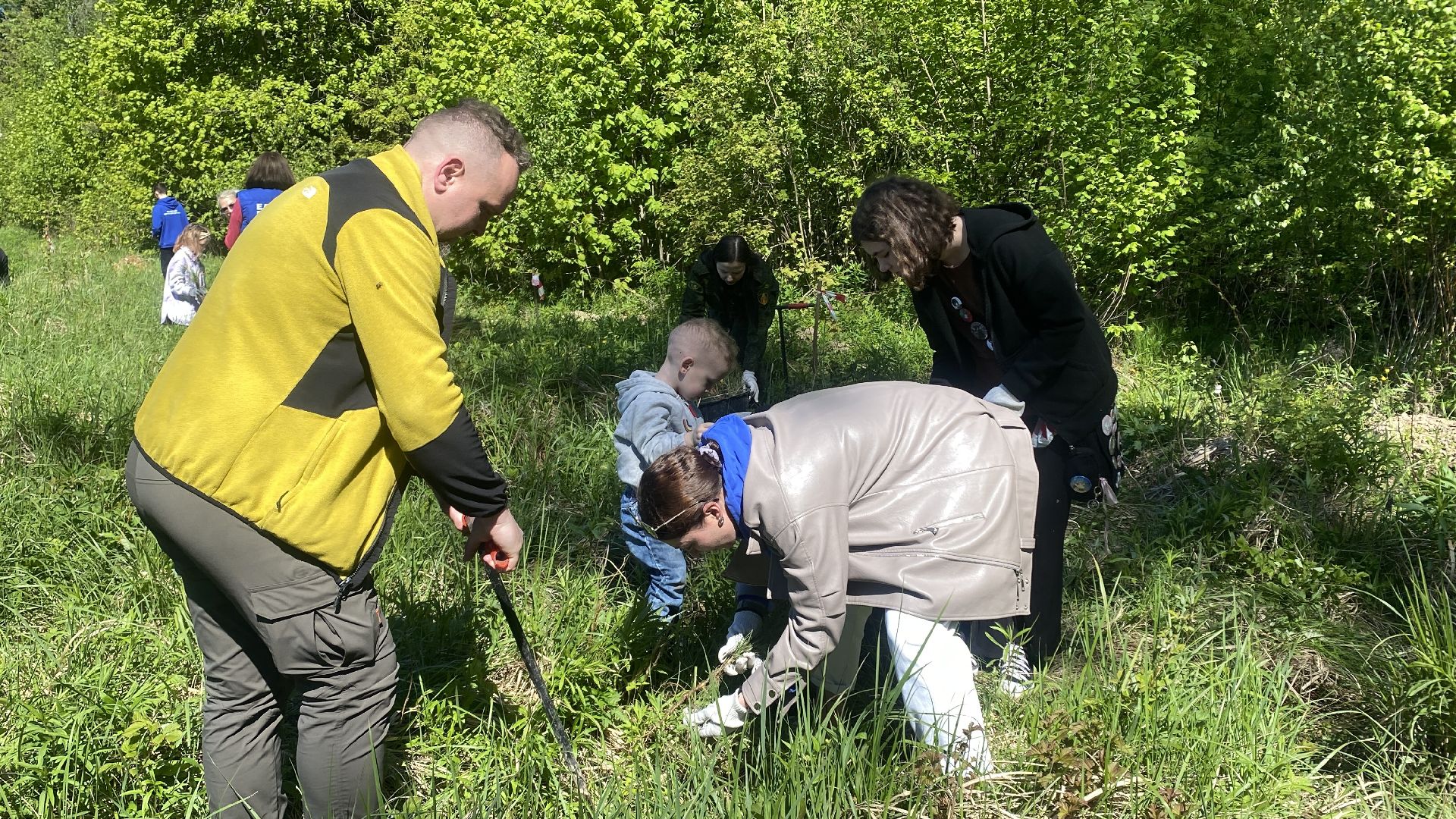 эколого-патриотической акции Лес будущего», акция Сад Памяти, посадка деревьев, лесфонд, мособллес,