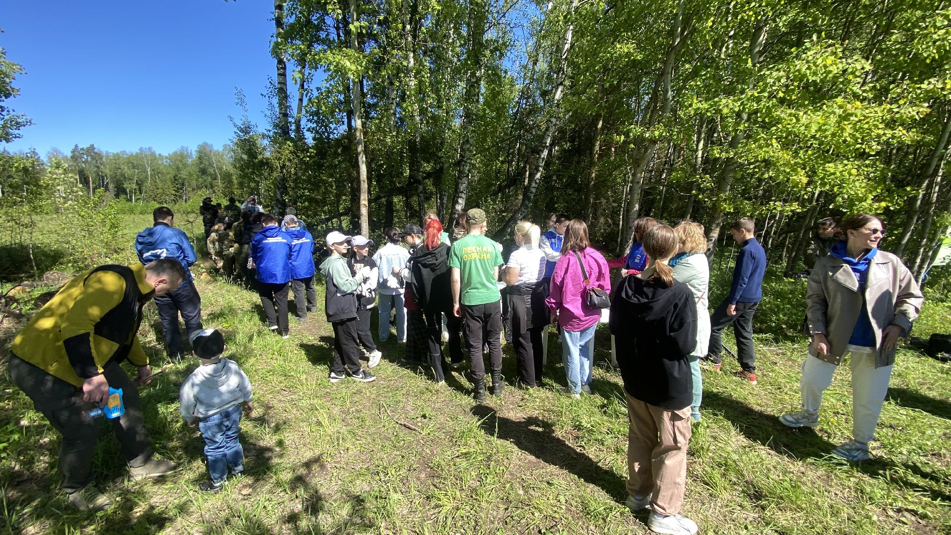 эколого-патриотической акции Лес будущего», акция Сад Памяти, посадка деревьев, лесфонд, мособллес,