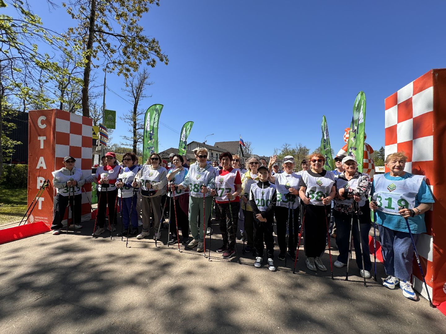 Одинцово, активное долголетие, скандинавская ходьба,