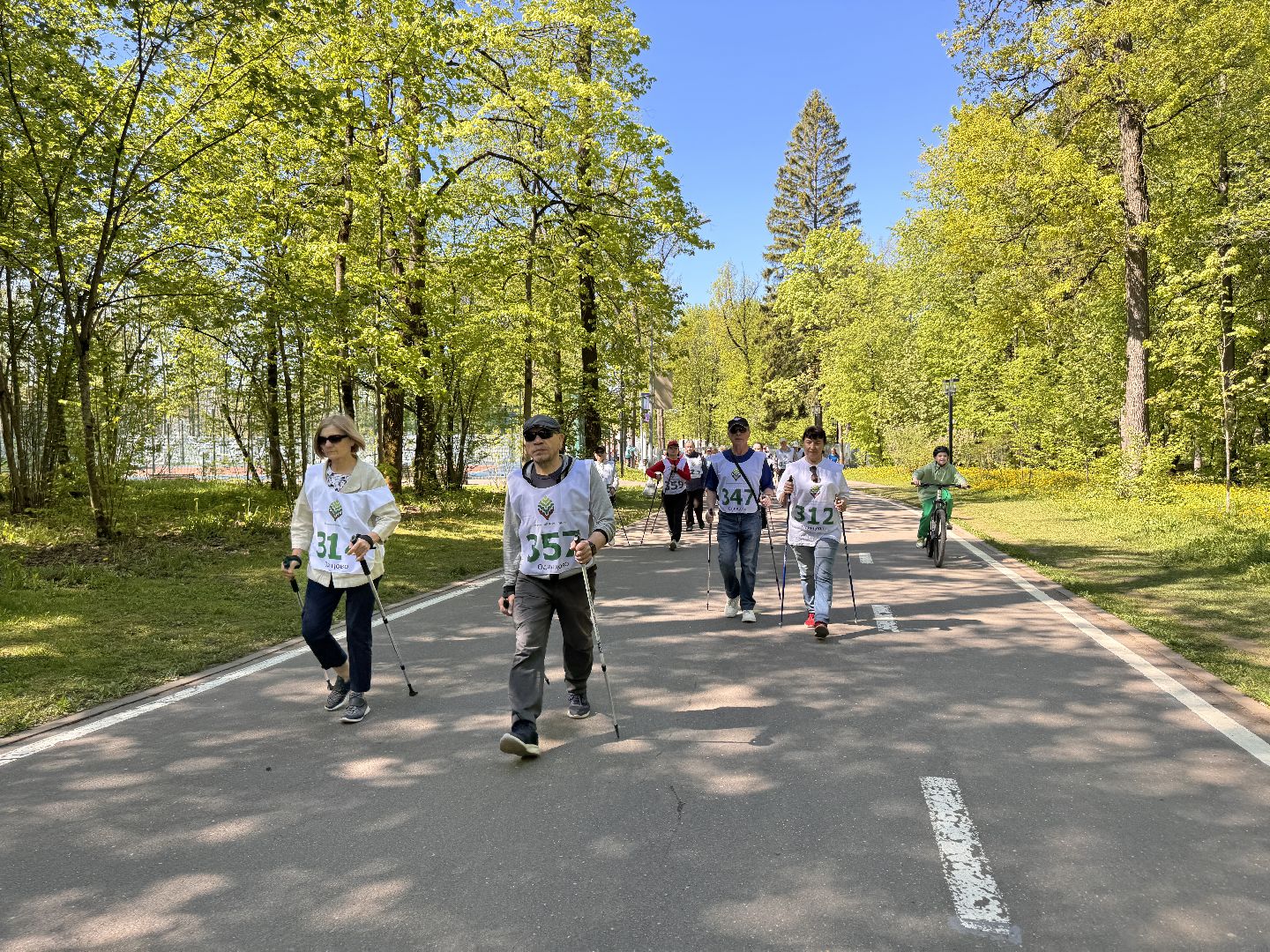 Одинцово, активное долголетие, скандинавская ходьба,
