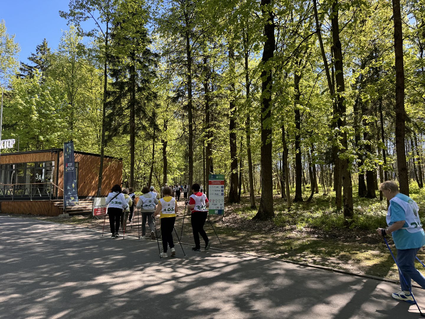 Одинцово, активное долголетие, скандинавская ходьба,