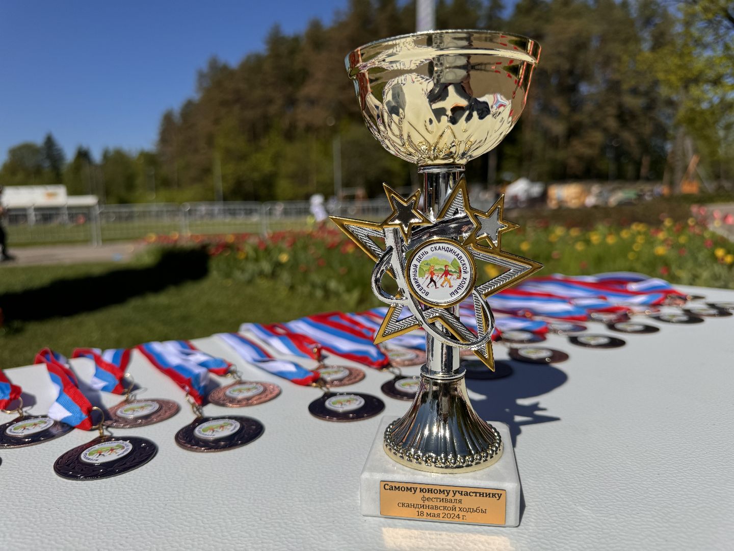 Одинцово, активное долголетие, скандинавская ходьба,