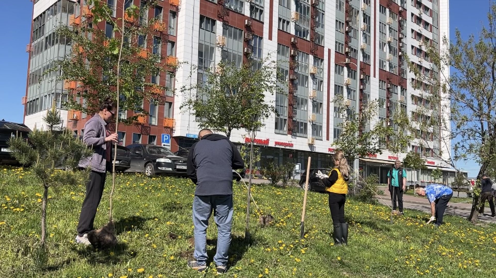 химки, благоустройство, лес будущего, высадка деревьев,