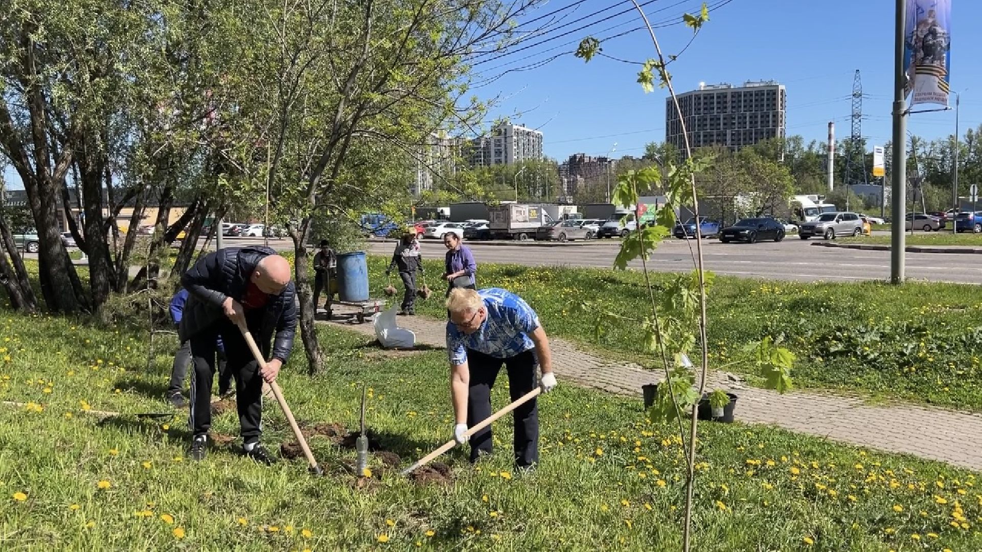 химки, благоустройство, лес будущего, высадка деревьев,