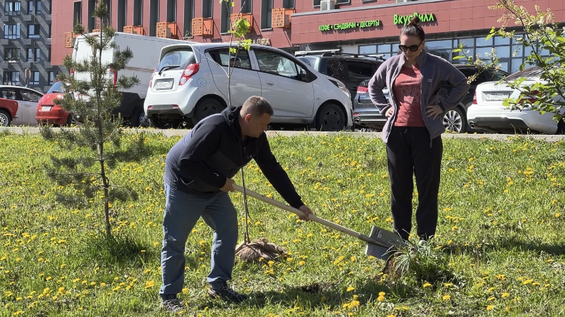 химки, благоустройство, лес будущего, высадка деревьев,