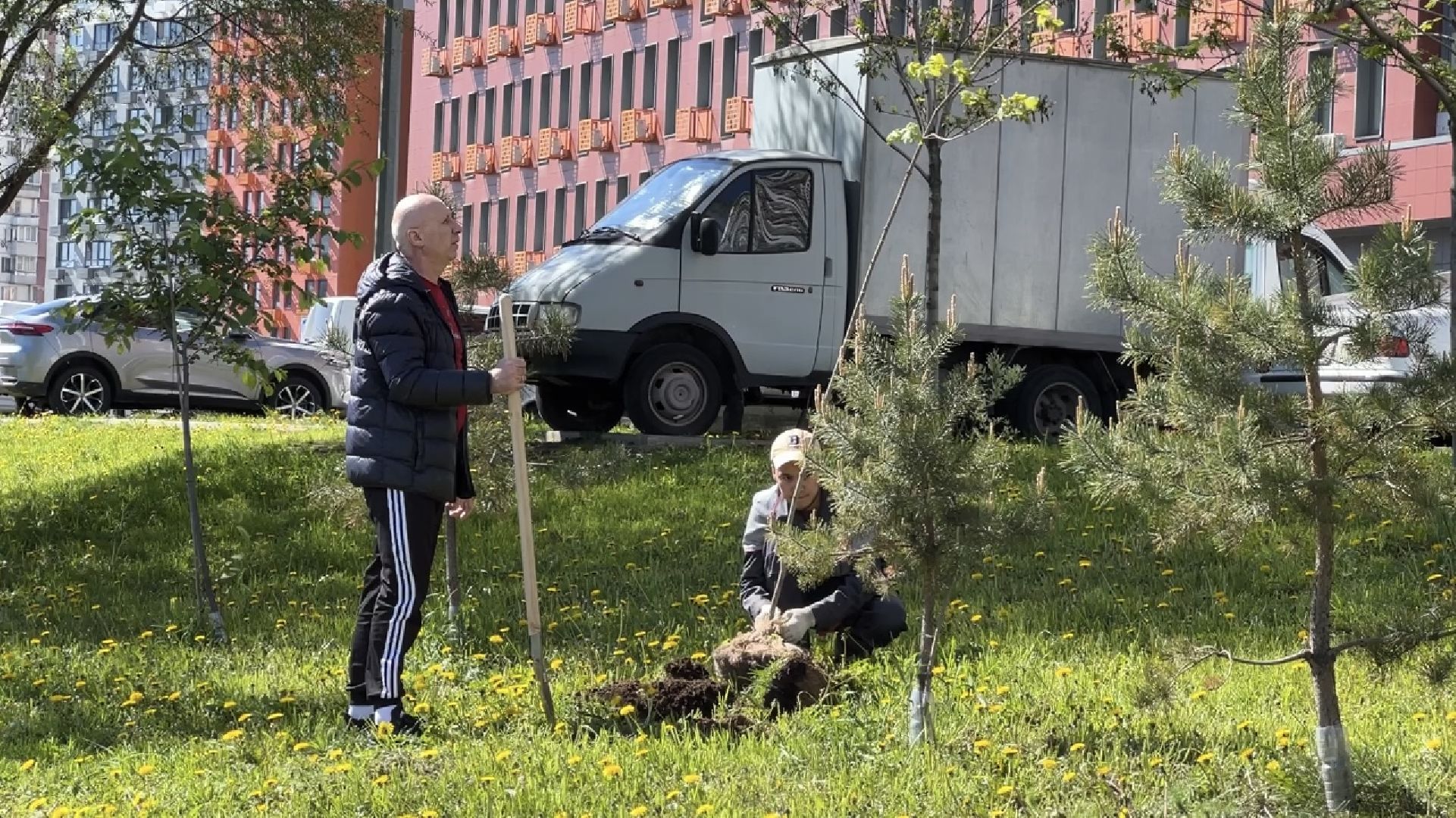 химки, благоустройство, лес будущего, высадка деревьев,