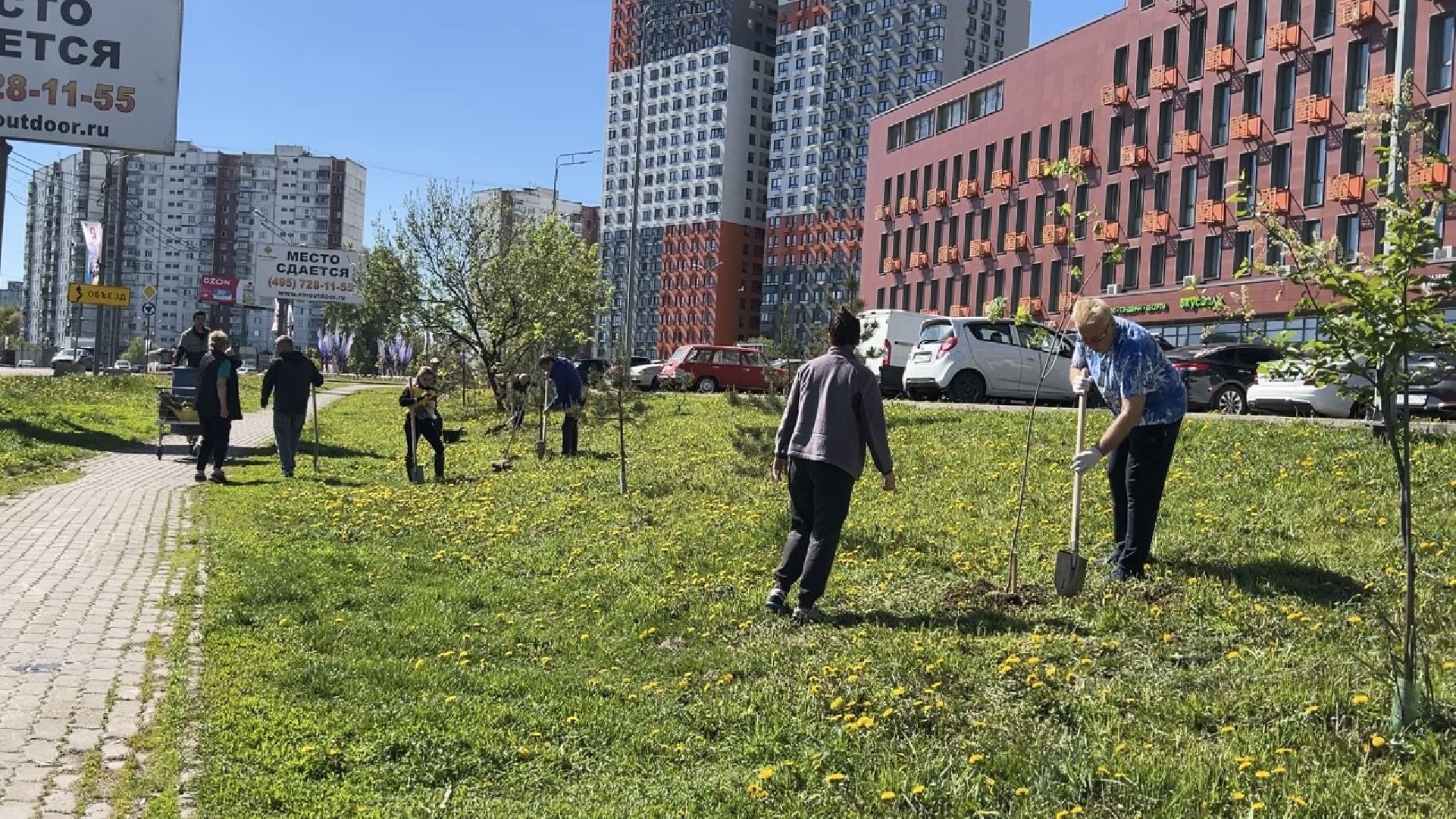 химки, благоустройство, лес будущего, высадка деревьев,