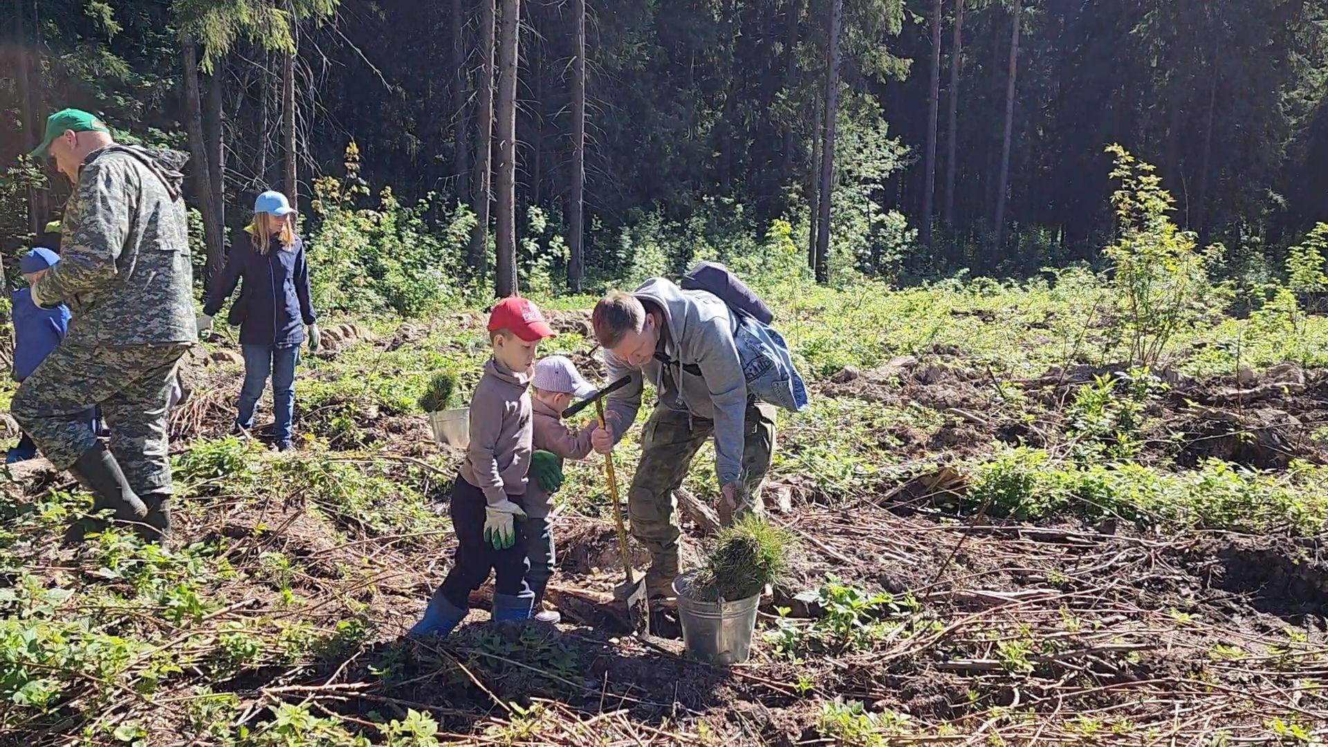 Одинцово, кубинка, лес, экология,