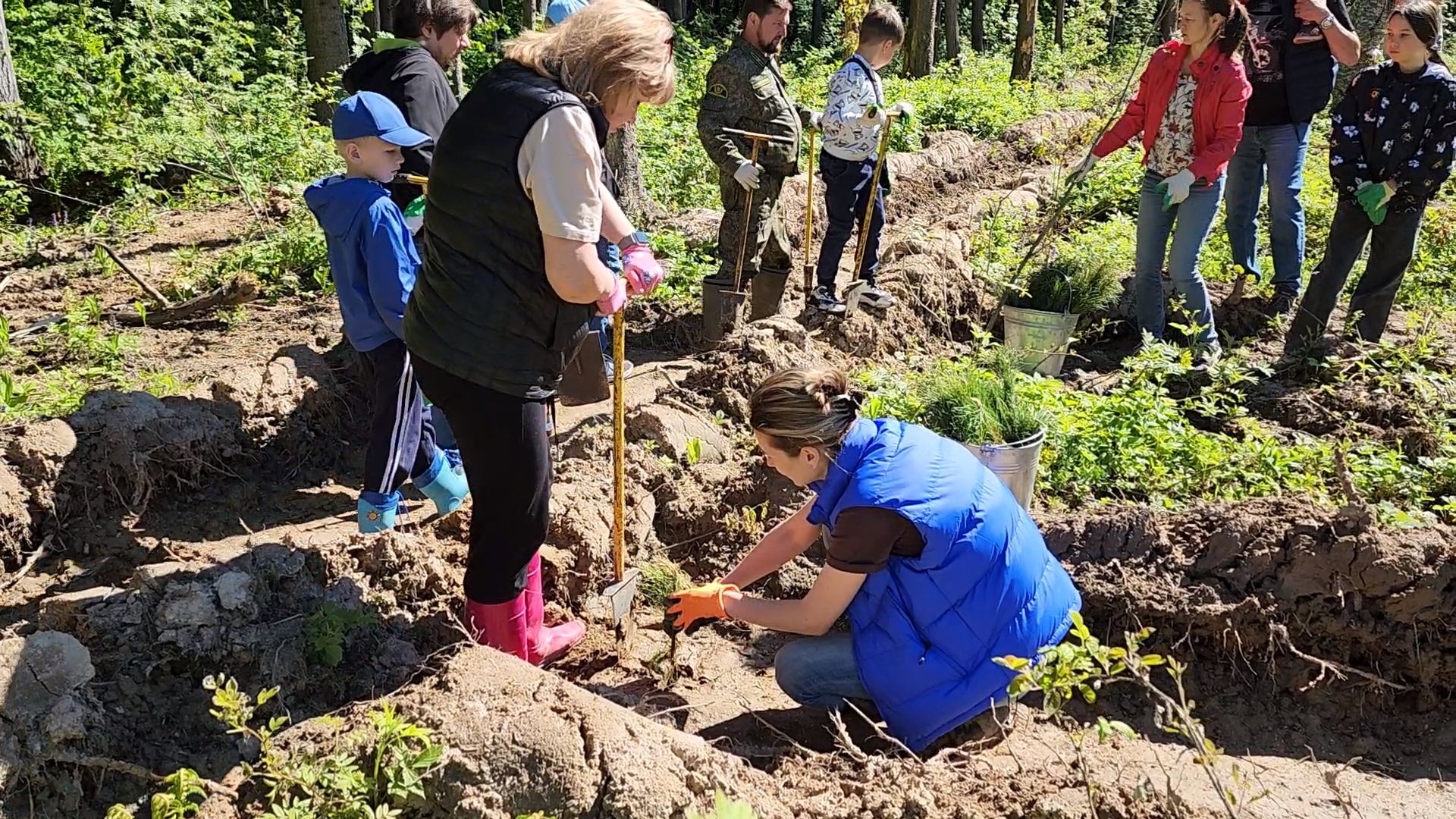 Одинцово, кубинка, лес, экология,