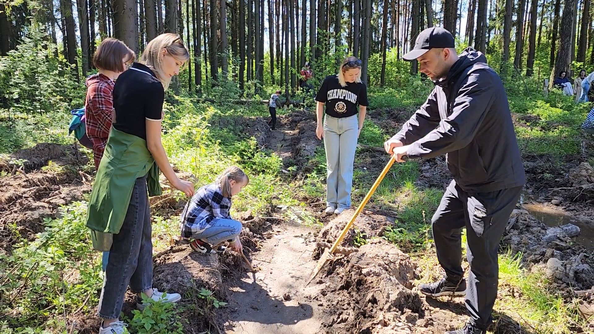 Одинцово, кубинка, лес, экология,